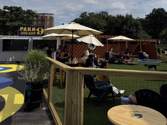 Park-9 Dog Bar photo 2